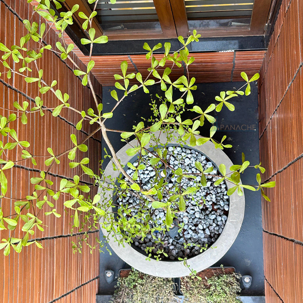 Aastha - A Small Belief